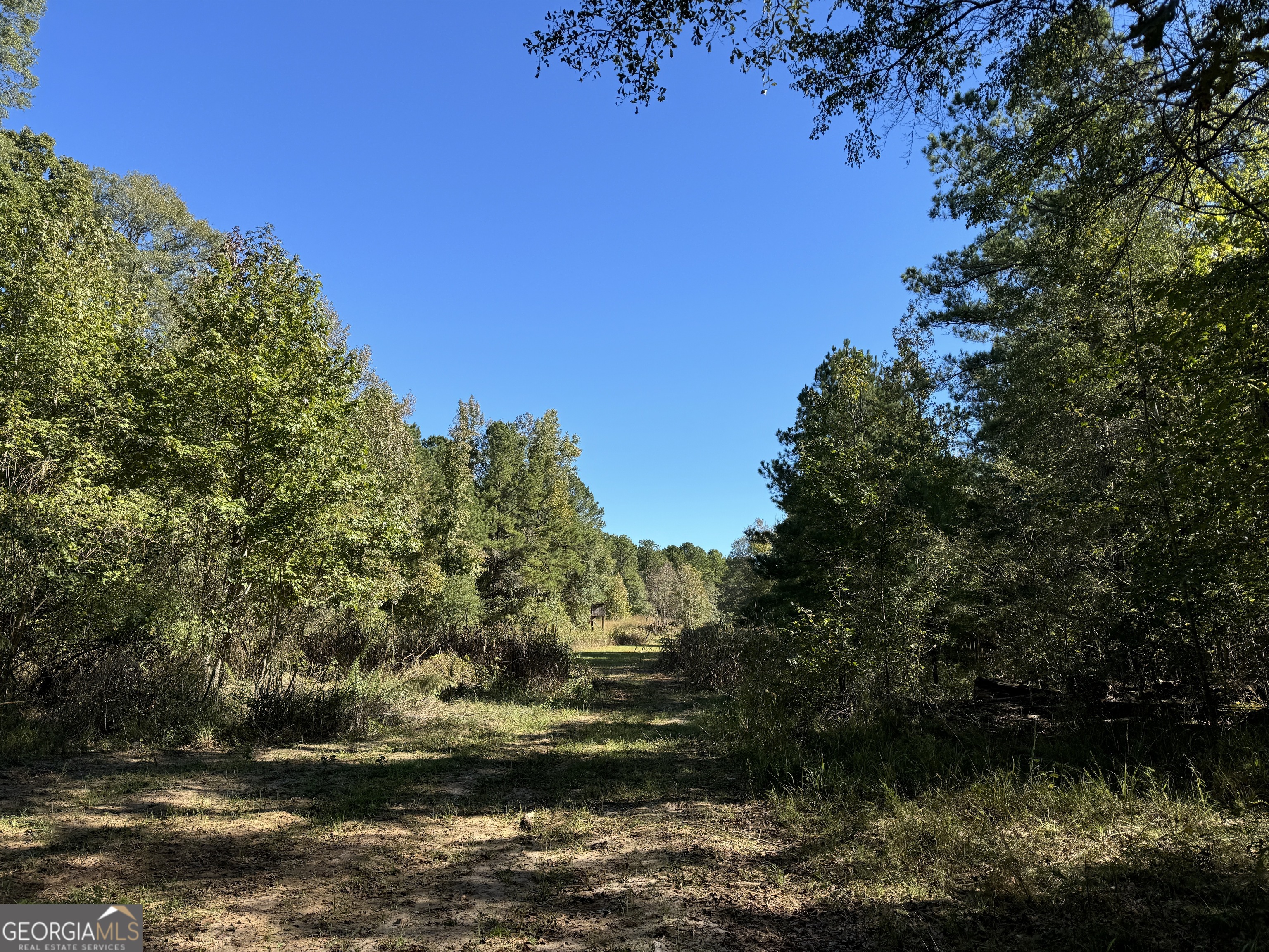 282.37-ac West Ellis Road Griffin, GA 30223 - Photo 14 of 15