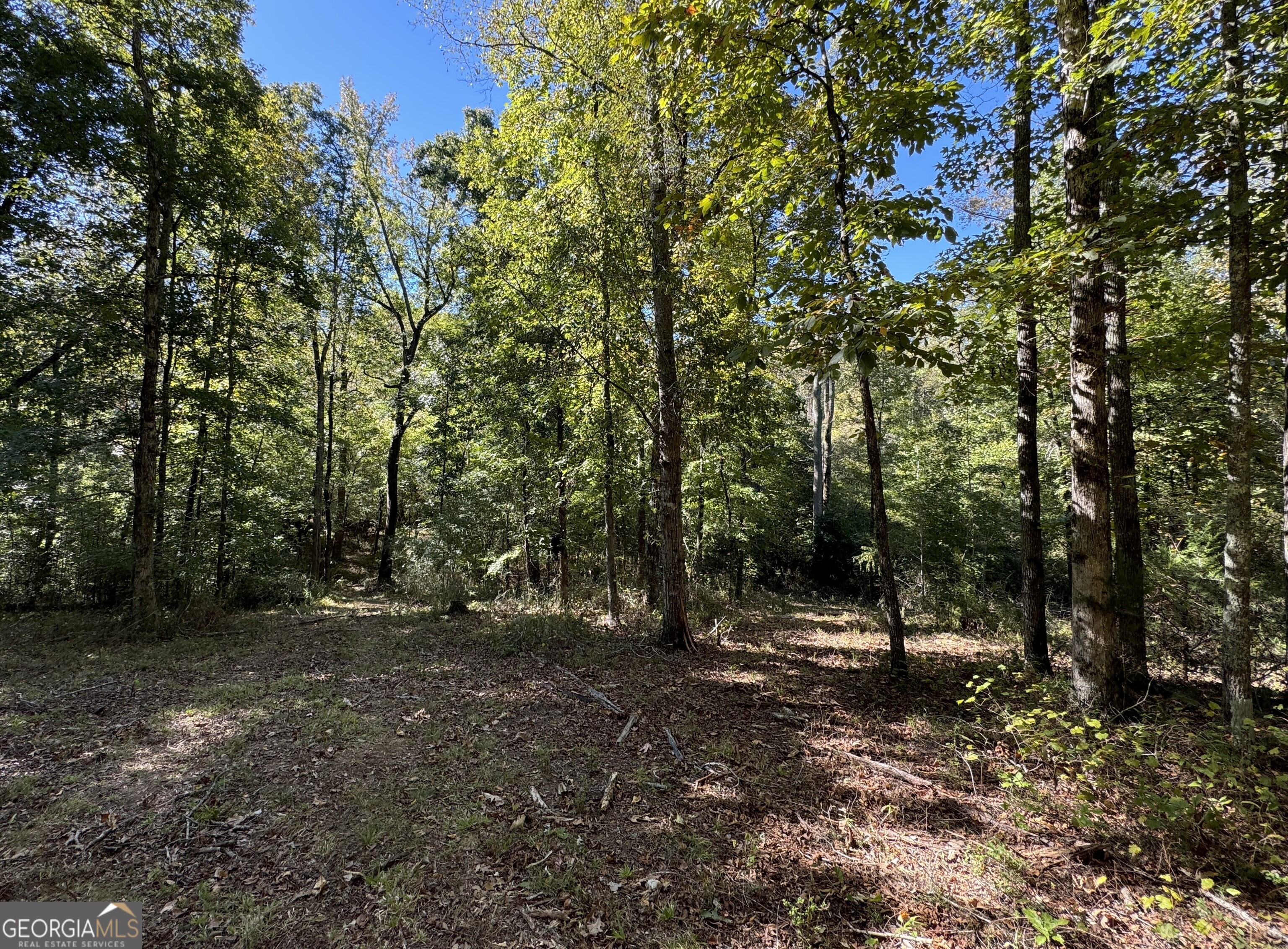 282.37-ac West Ellis Road Griffin, GA 30223 - Photo 15 of 15