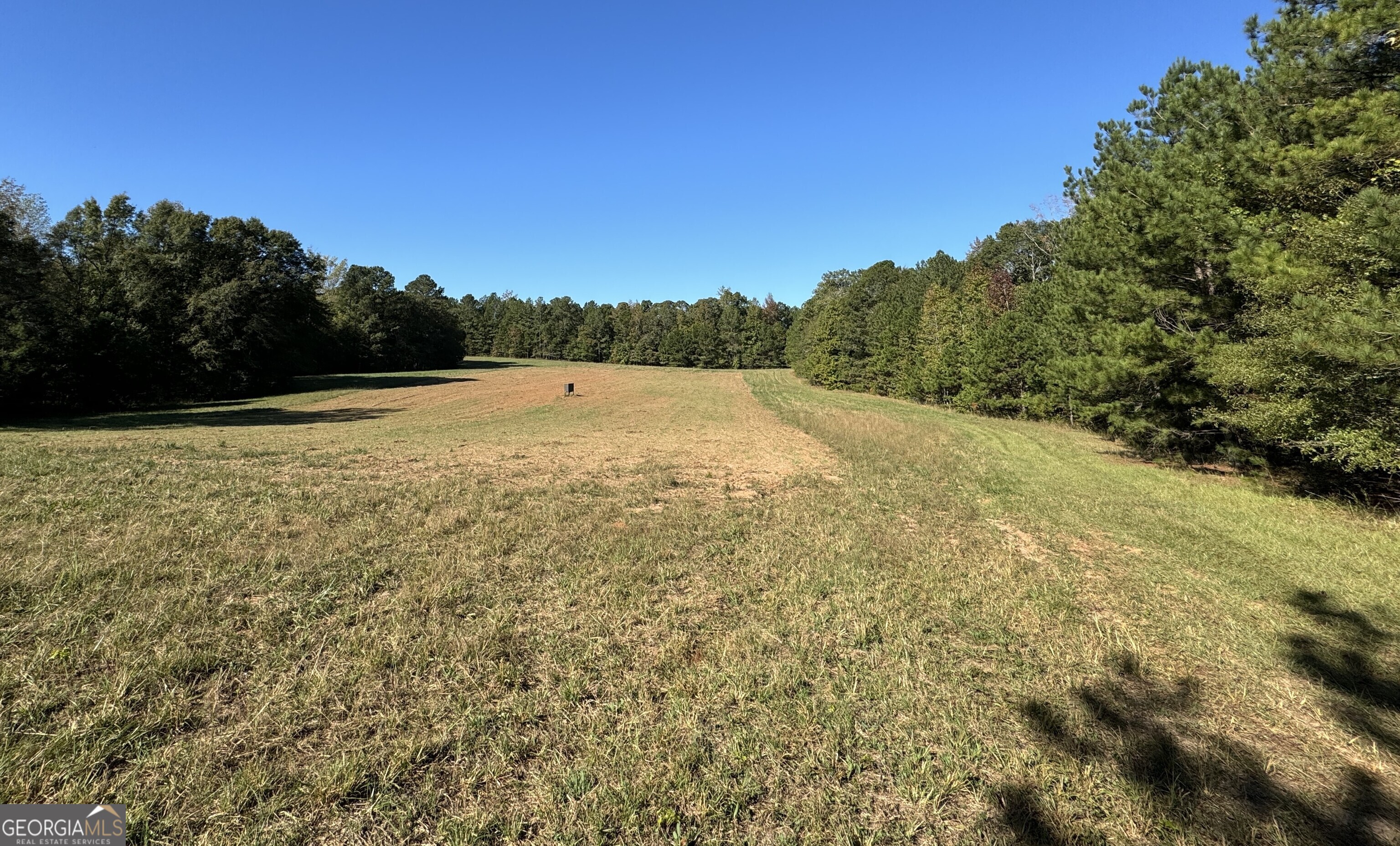 282.37-ac West Ellis Road Griffin, GA 30223 - Photo 7 of 15