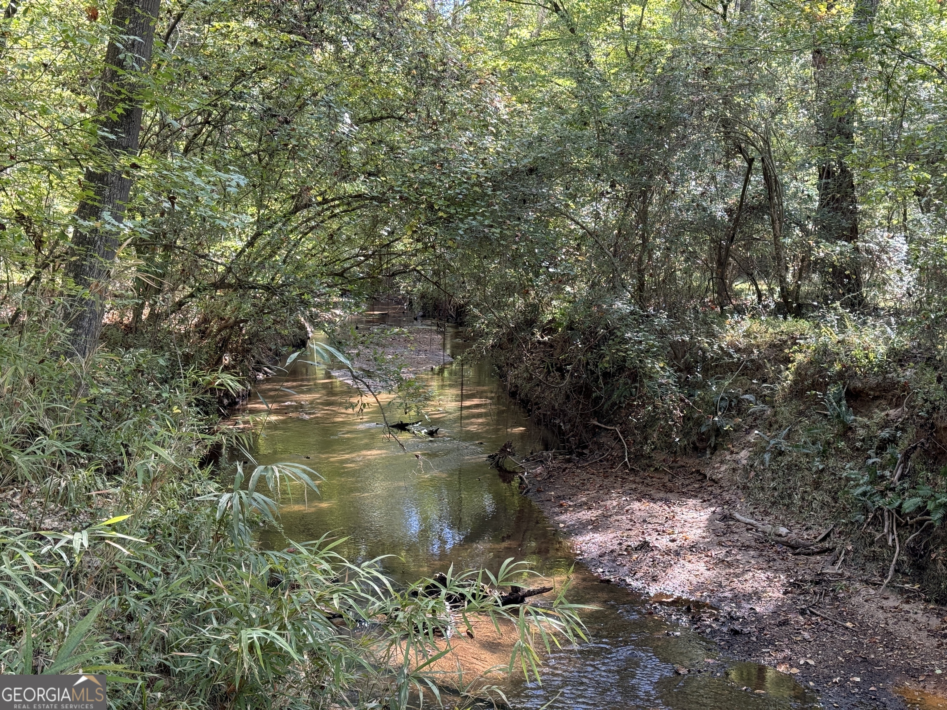 282.37-ac West Ellis Road Griffin, GA 30223 - Photo 10 of 15