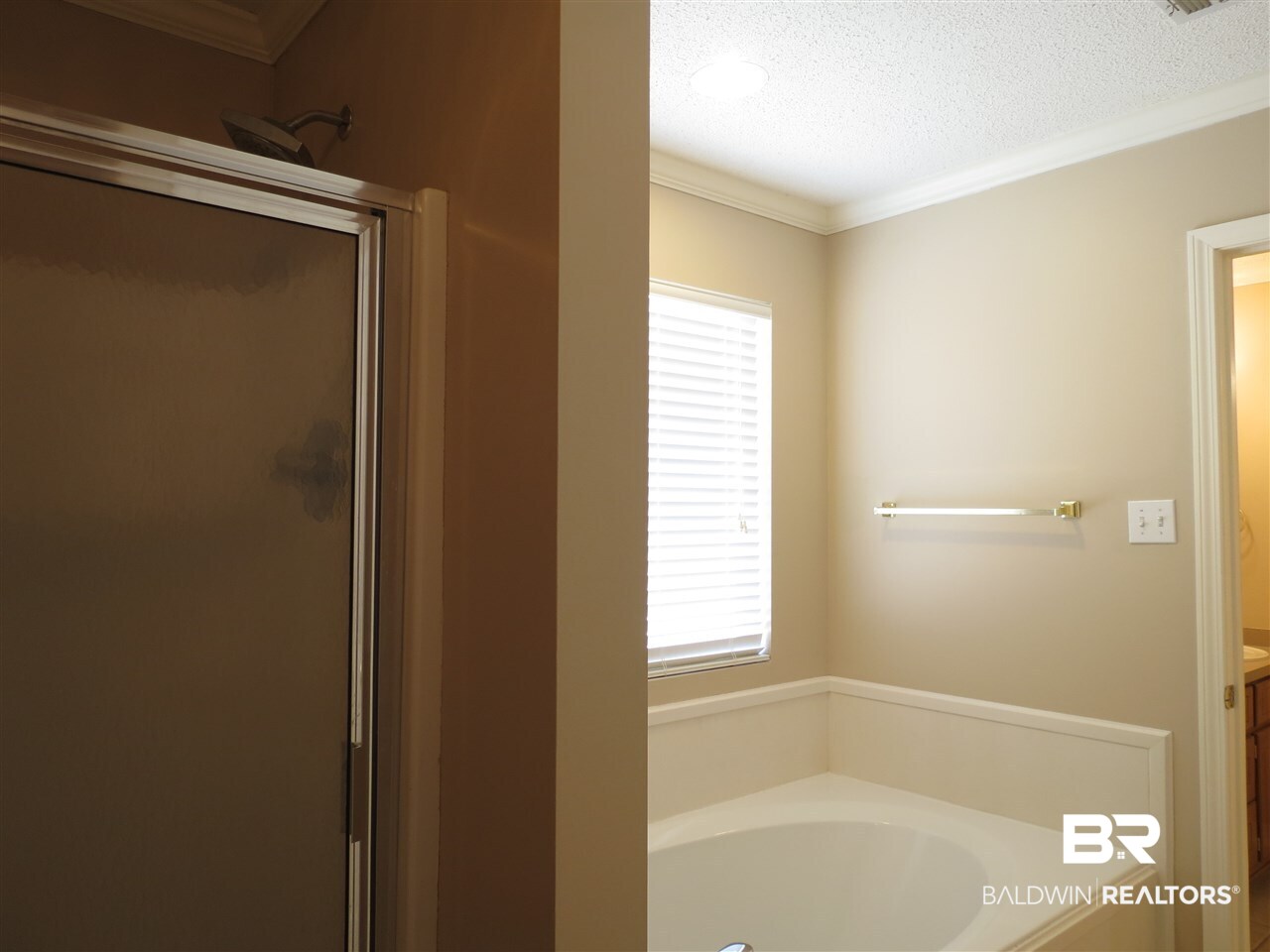 9654 Chambers Drive Mobile, AL 36695 - Photo 16 of 20 Master Bath