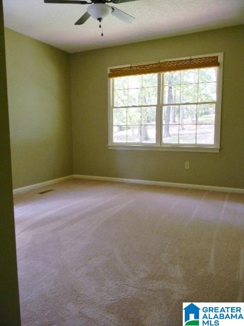 100 Lee Lane Alabaster, AL 35007 - Photo 11 of 48