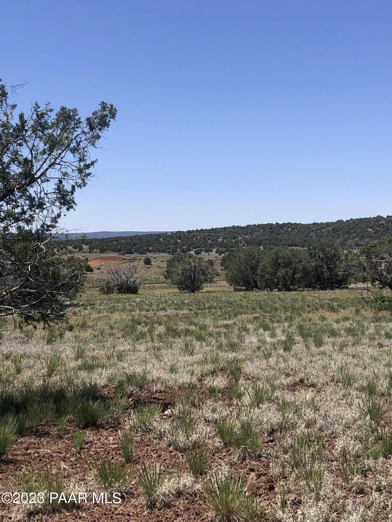 9254 West Cory Road Williams, AZ 86046 - Photo 2 of 4 IMG-3459