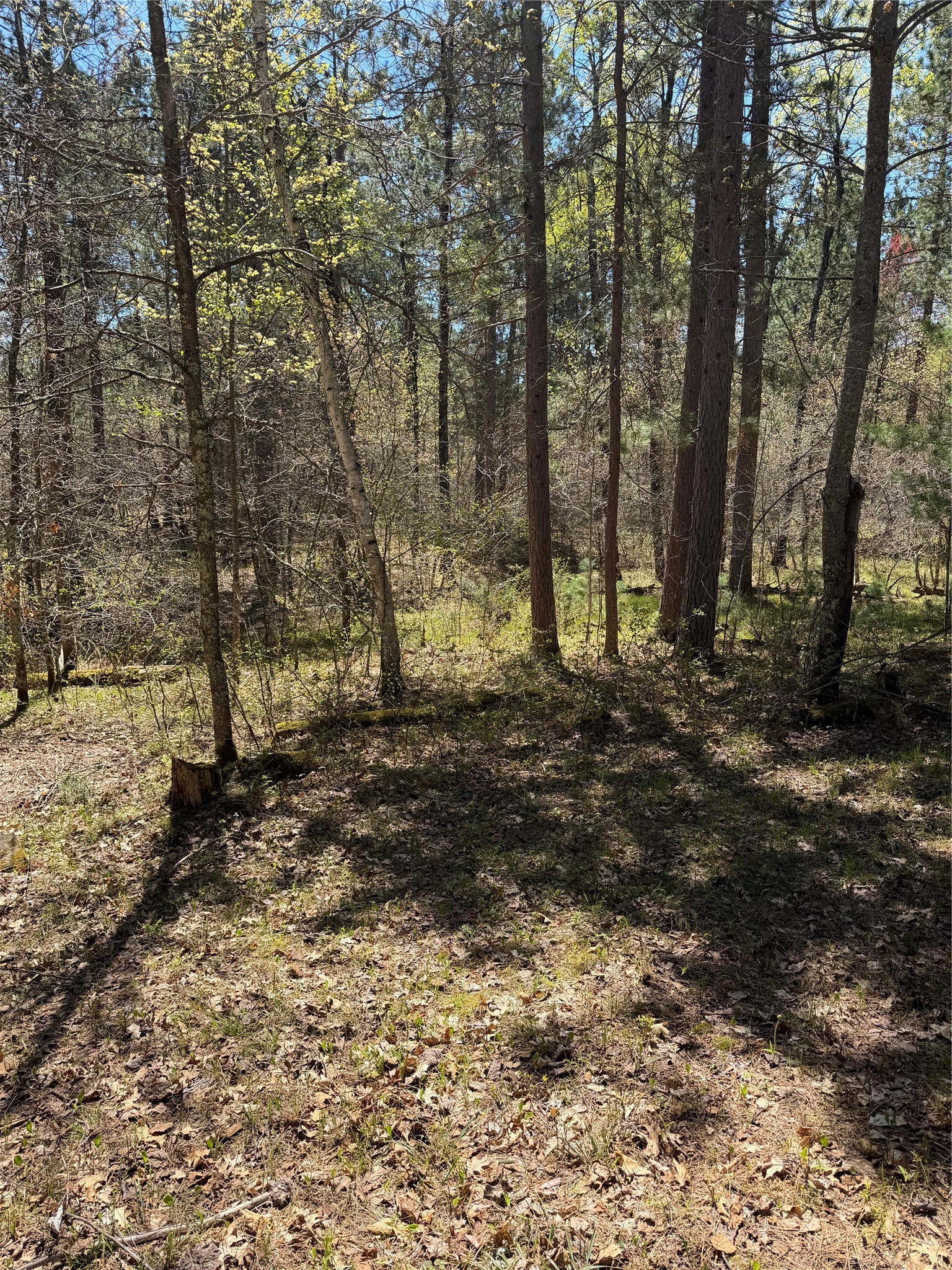 2395 Island Lake Road Barnes, WI 54873 - Photo 15 of 16