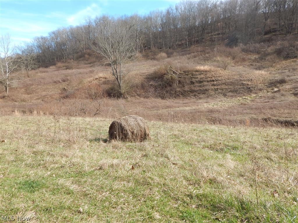 Morehead Ridge Road Elizabeth, WV 26143 - Photo 1 of 9 Gallery Image 1