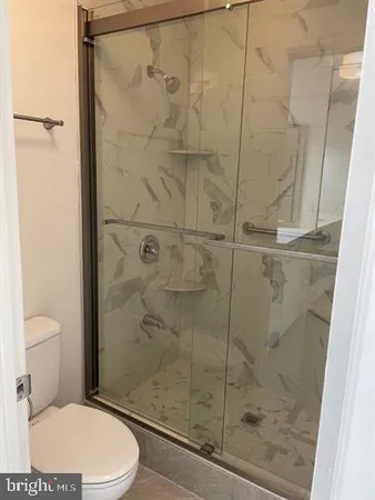 a bathroom with a shower and a toilet
