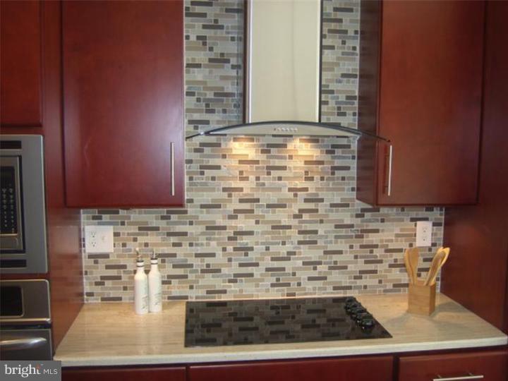 263 Ripka Street Philadelphia, PA 19127 - Photo 3 of 11