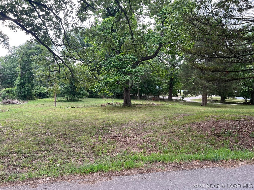 0 Purvis Road Sunrise Beach, MO 65079 - Photo 1 of 1 Property from Purvis Roadway