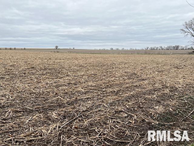 0 230th Street Clinton, IA 52732 - Photo 11 of 18 Gallery Image 11