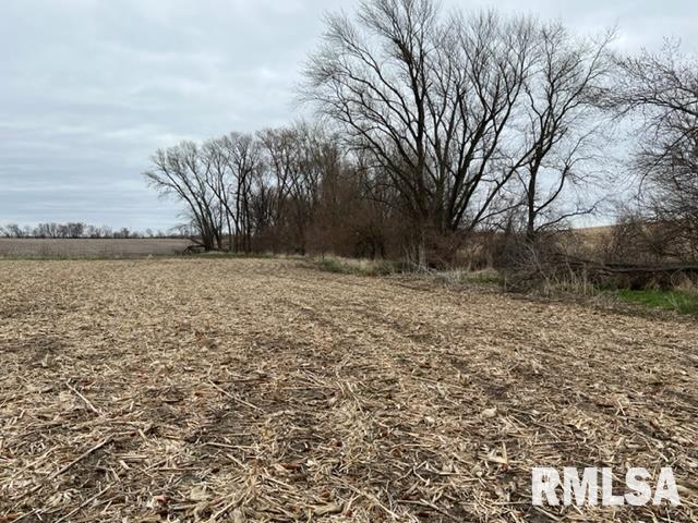 0 230th Street Clinton, IA 52732 - Photo 13 of 18 Gallery Image 13