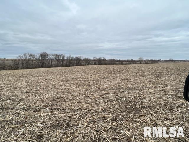 0 230th Street Clinton, IA 52732 - Photo 14 of 18 Gallery Image 14