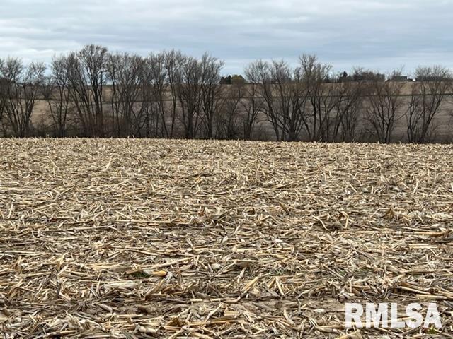 0 230th Street Clinton, IA 52732 - Photo 15 of 18 Gallery Image 15