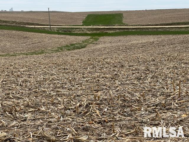 0 230th Street Clinton, IA 52732 - Photo 16 of 18 Gallery Image 16