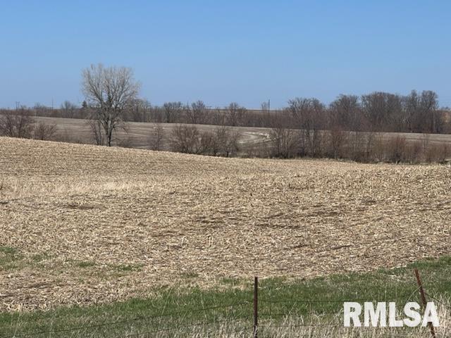 0 230th Street Clinton, IA 52732 - Photo 2 of 18 Gallery Image 2