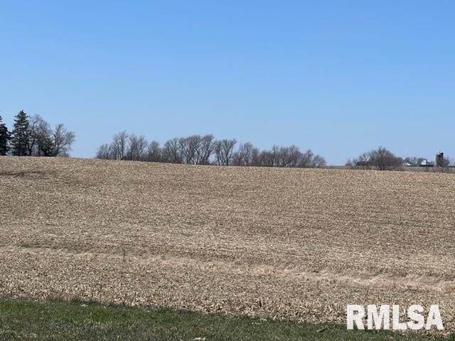 0 230th Street Clinton, IA 52732 - Photo 3 of 18 Gallery Image 3