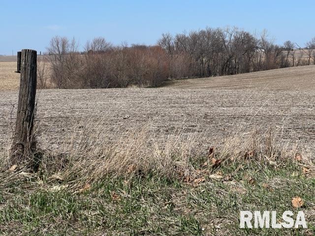 0 230th Street Clinton, IA 52732 - Photo 4 of 18 Gallery Image 4