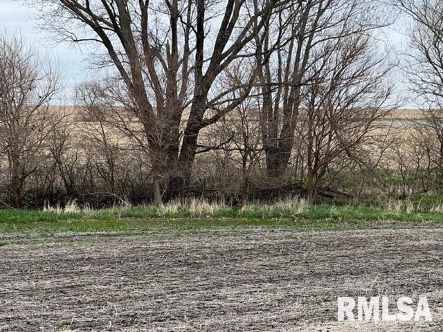 0 230th Street Clinton, IA 52732 - Photo 5 of 18 Gallery Image 5
