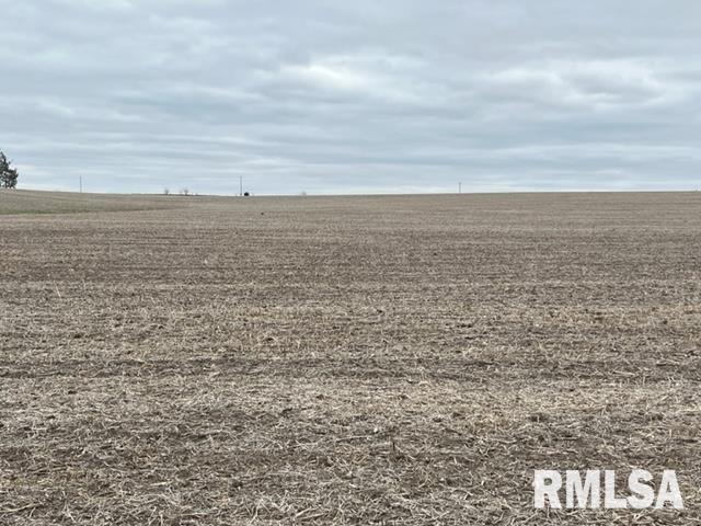 0 230th Street Clinton, IA 52732 - Photo 7 of 18 Gallery Image 7