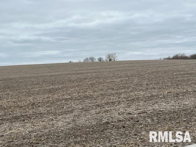 0 230th Street Clinton, IA 52732 - Photo 8 of 18 Gallery Image 8