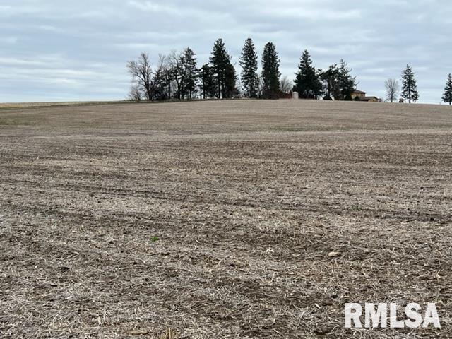 0 230th Street Clinton, IA 52732 - Photo 9 of 18 Gallery Image 9