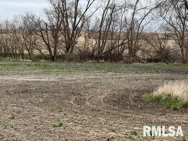 0 230th Street Clinton, IA 52732 - Photo 10 of 18 Gallery Image 10