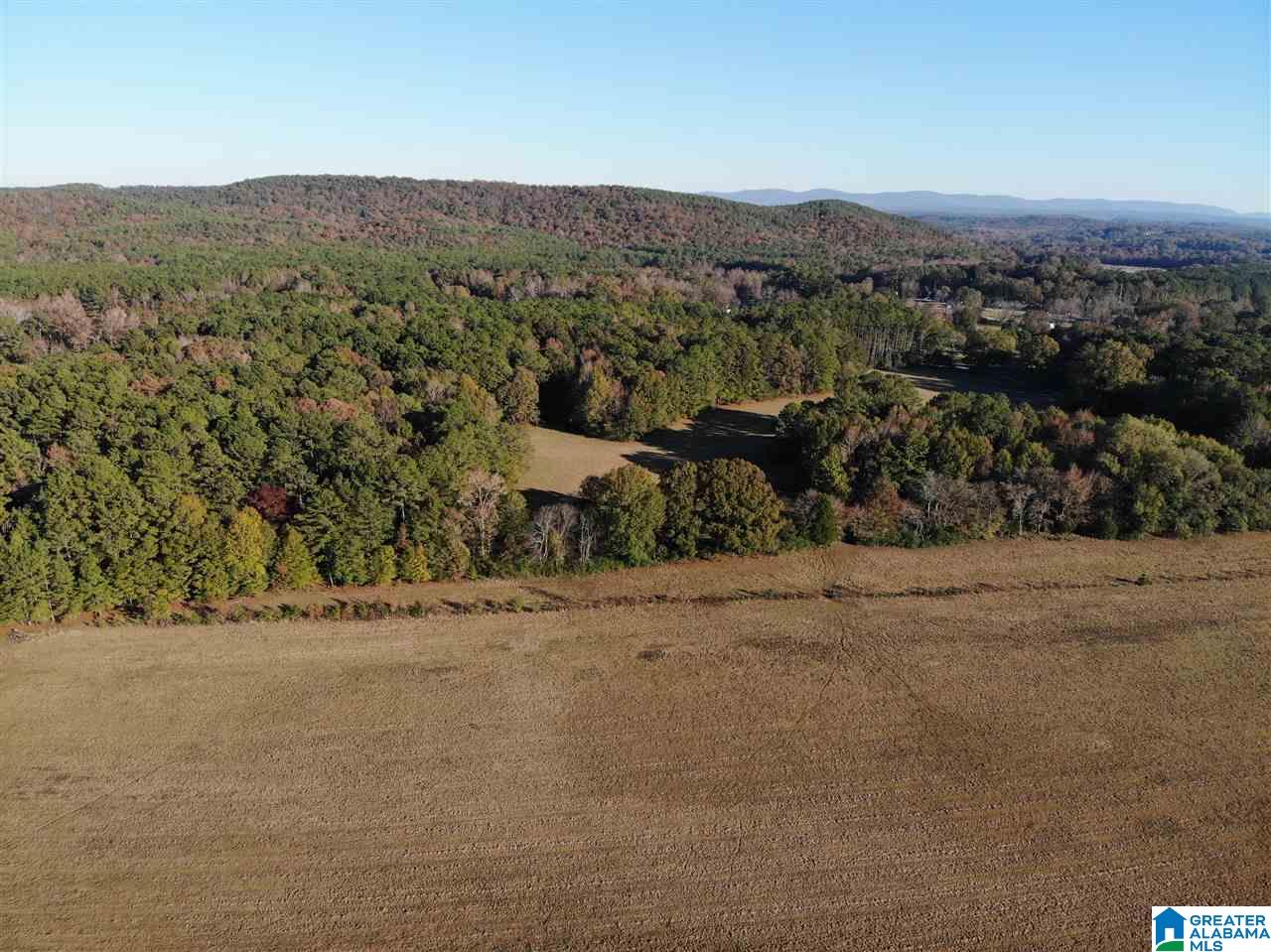 4950 Plantersville Road Alpine, AL 35014 - Photo 8 of 47 Gallery Image 8