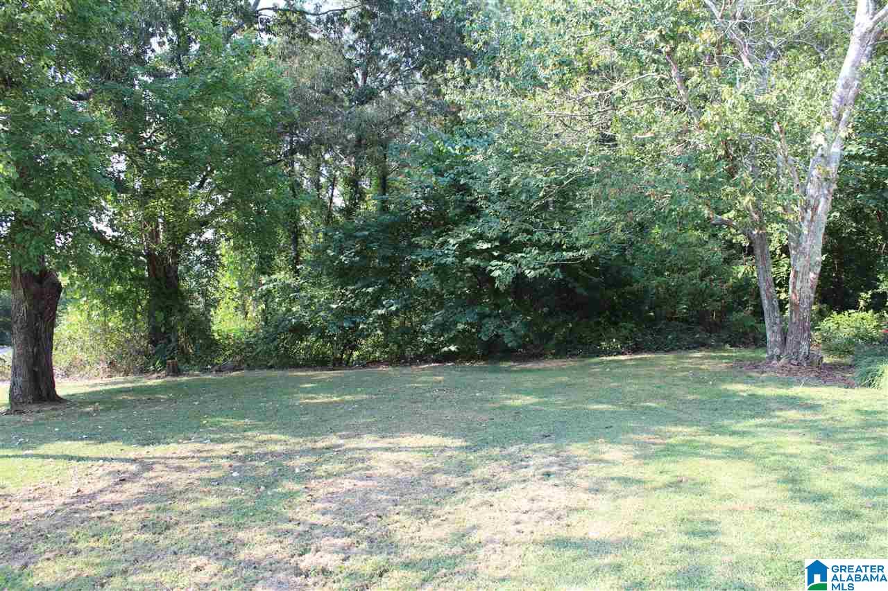 444 Highway 27 Oneonta, AL 35121 - Photo 37 of 39