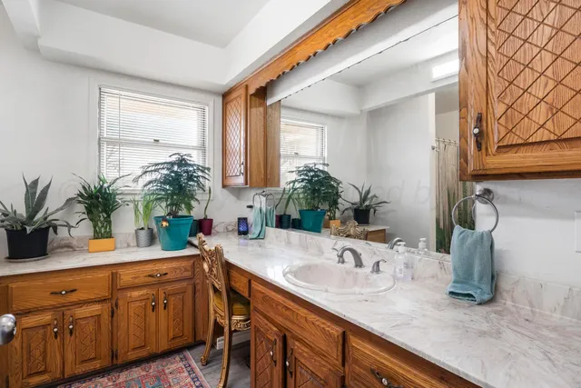 a bathroom with a granite countertop sink a potted plant and a mirror