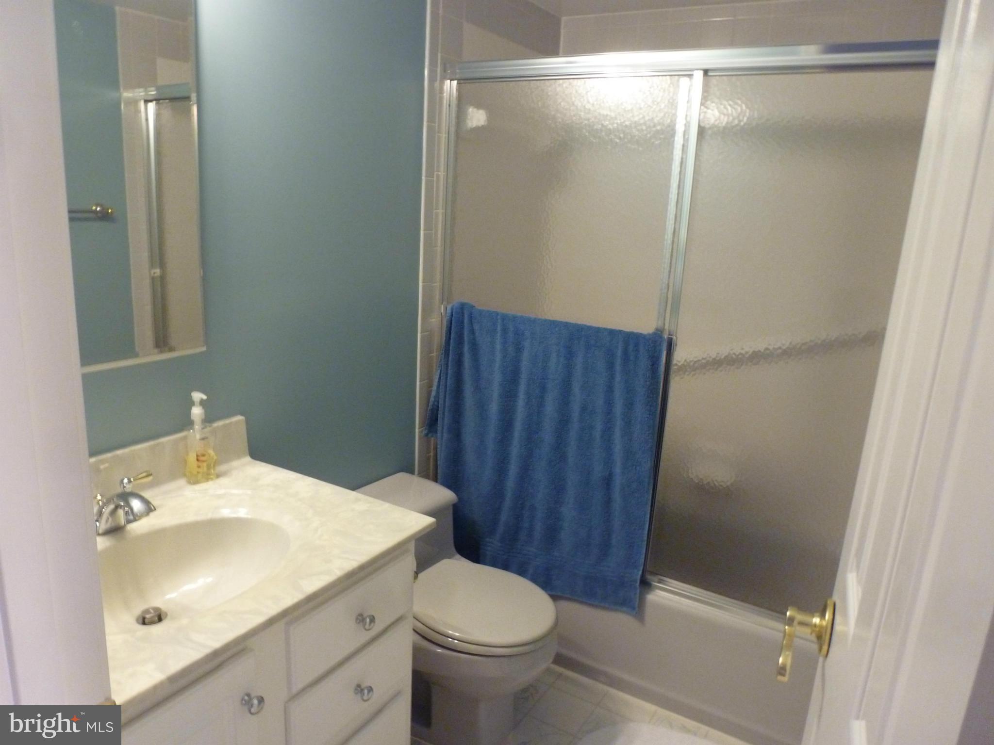 812 Merry Go Round Way Mount Airy, MD 21771 - Photo 17 of 19 3rd Full Bath in LL