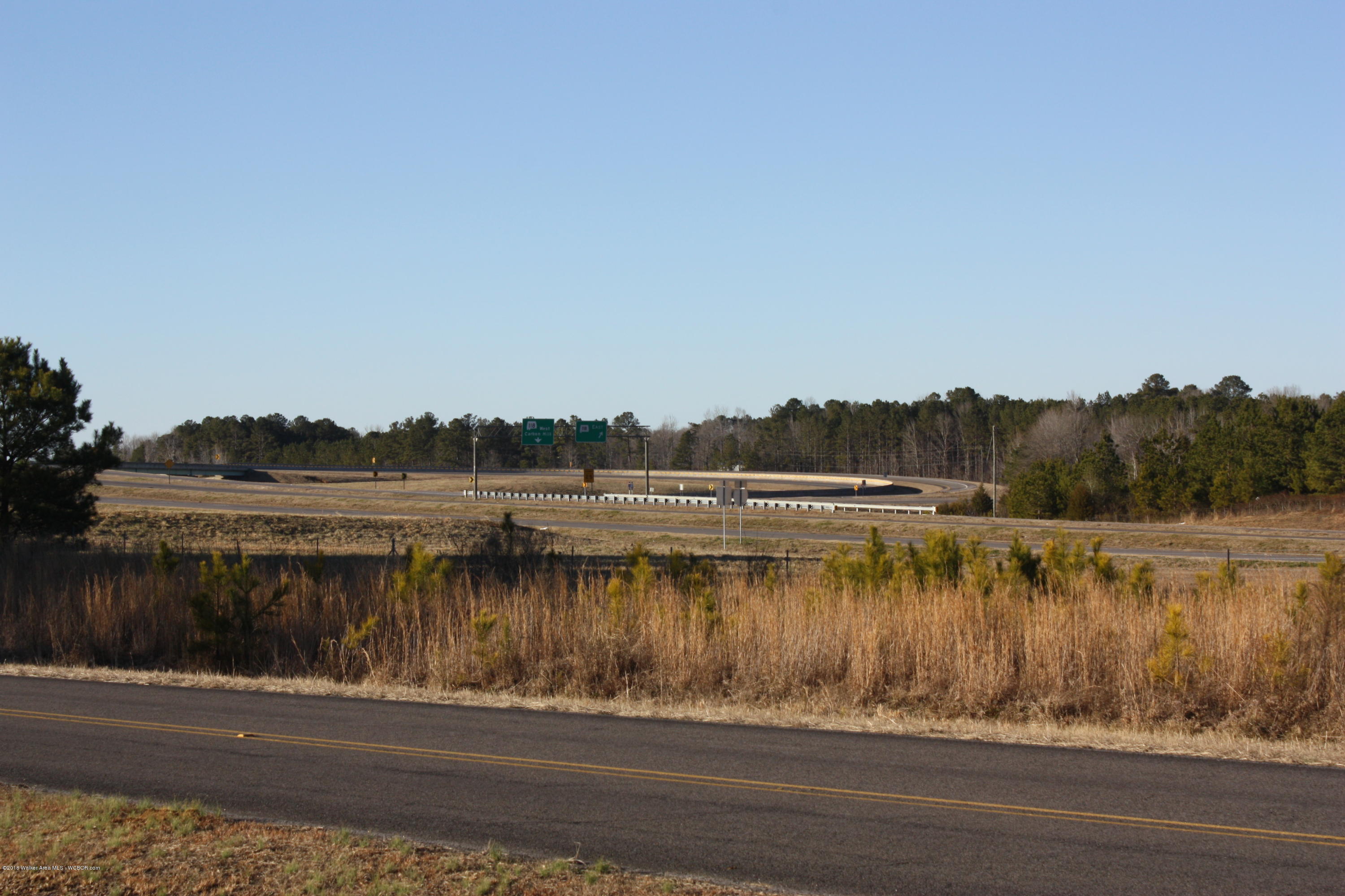 Henslee Road Carbon Hill, AL 35549 - Photo 13 of 13 Gallery Image 13