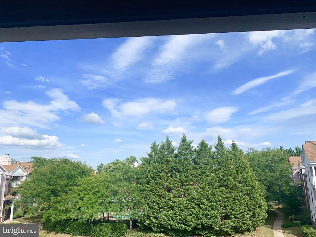 21024 Timber Ridge Terrace, Unit 302 Ashburn, VA 20147 - Photo 8 of 26 Views from all rooms, family room & balcony