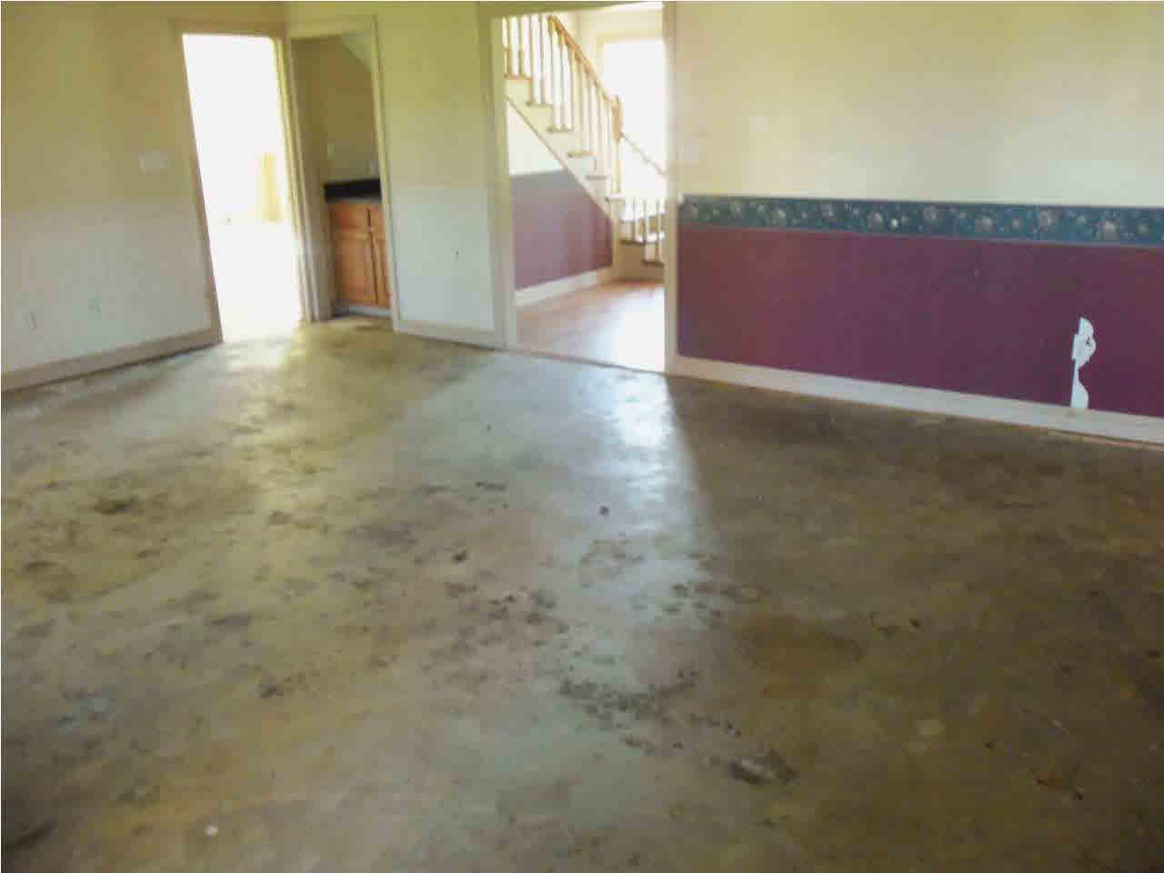 368 Forest Grove Road Carthage, MS 39051 - Photo 5 of 23 Photo 5