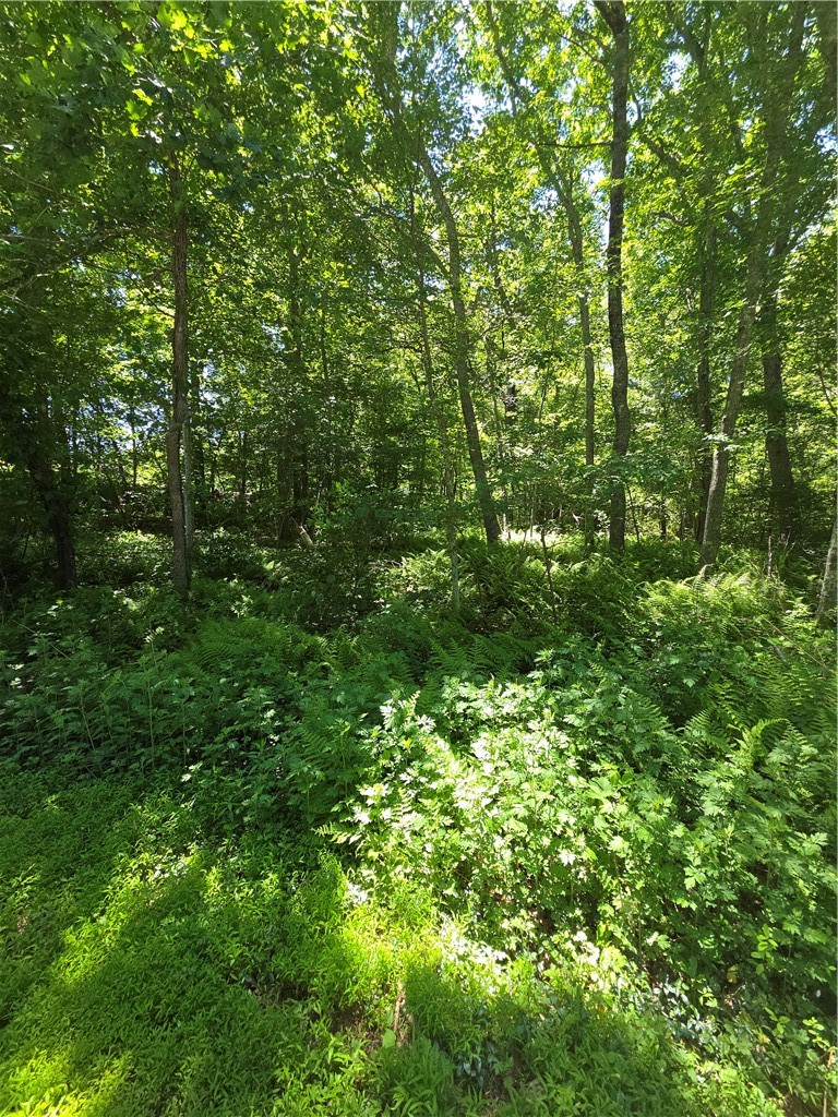 85 Diamond Hill Road Hopkinton, RI 02808 - Photo 2 of 8