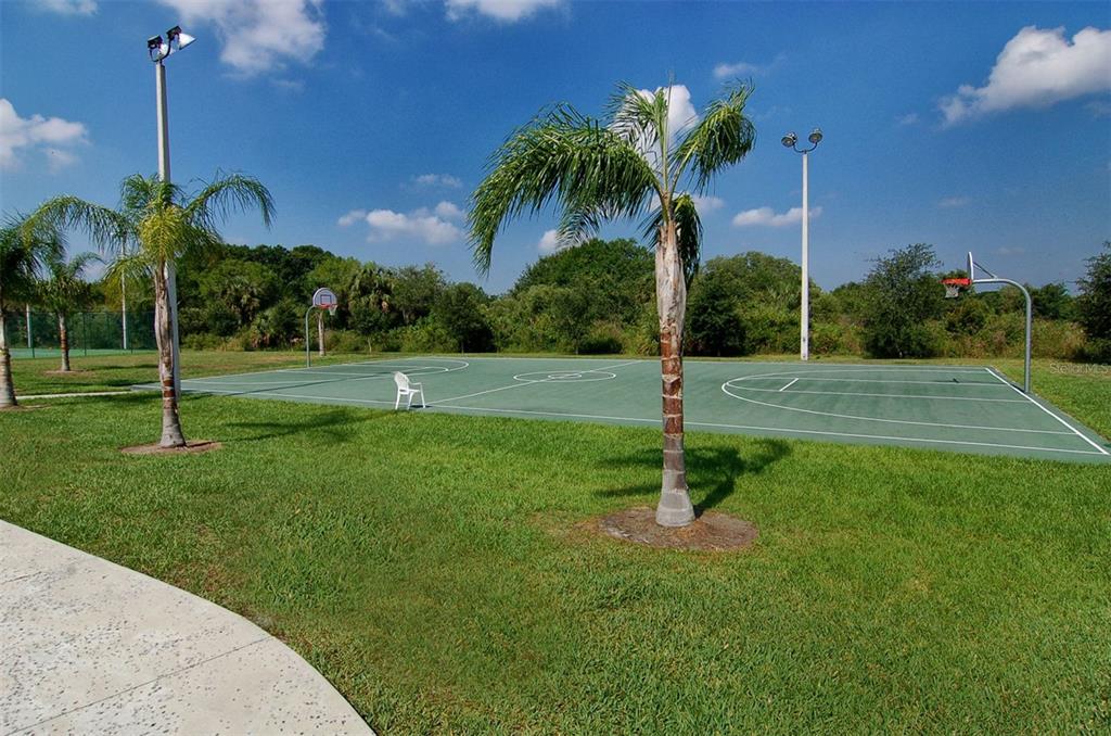 318 Ragdoll Run Bradenton, FL 34212 - Photo 81 of 87