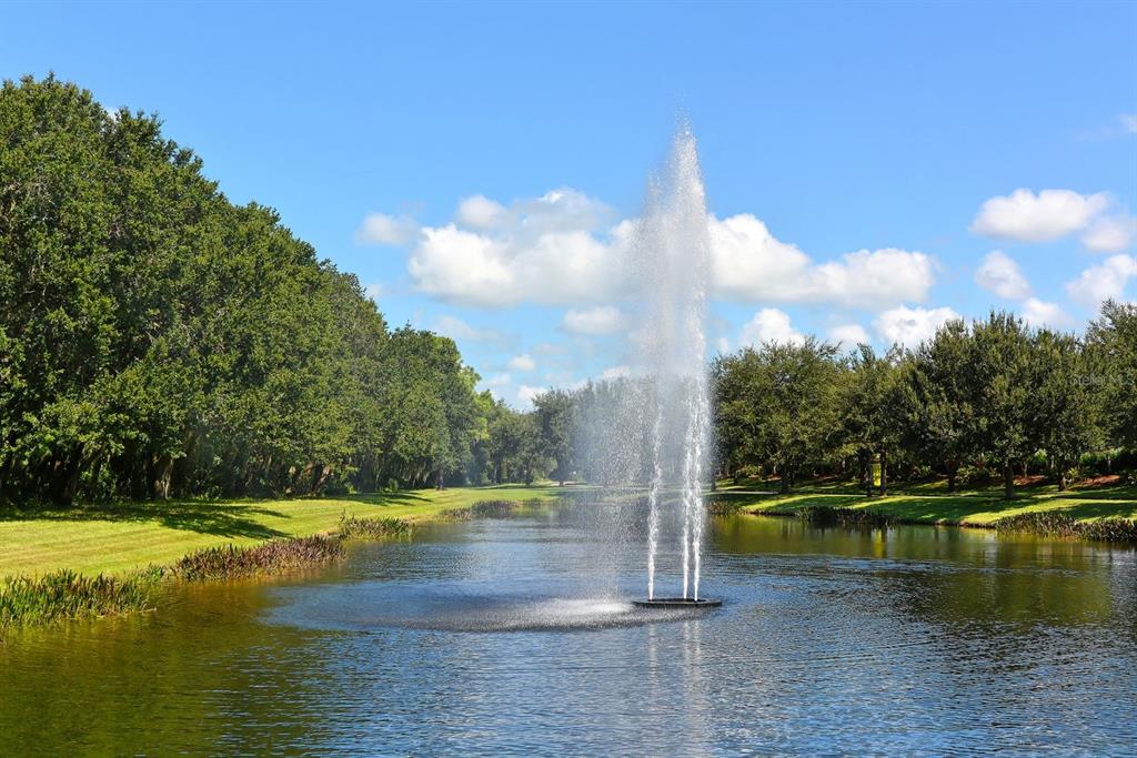 318 Ragdoll Run Bradenton, FL 34212 - Photo 84 of 87 a view of a lake with a yard