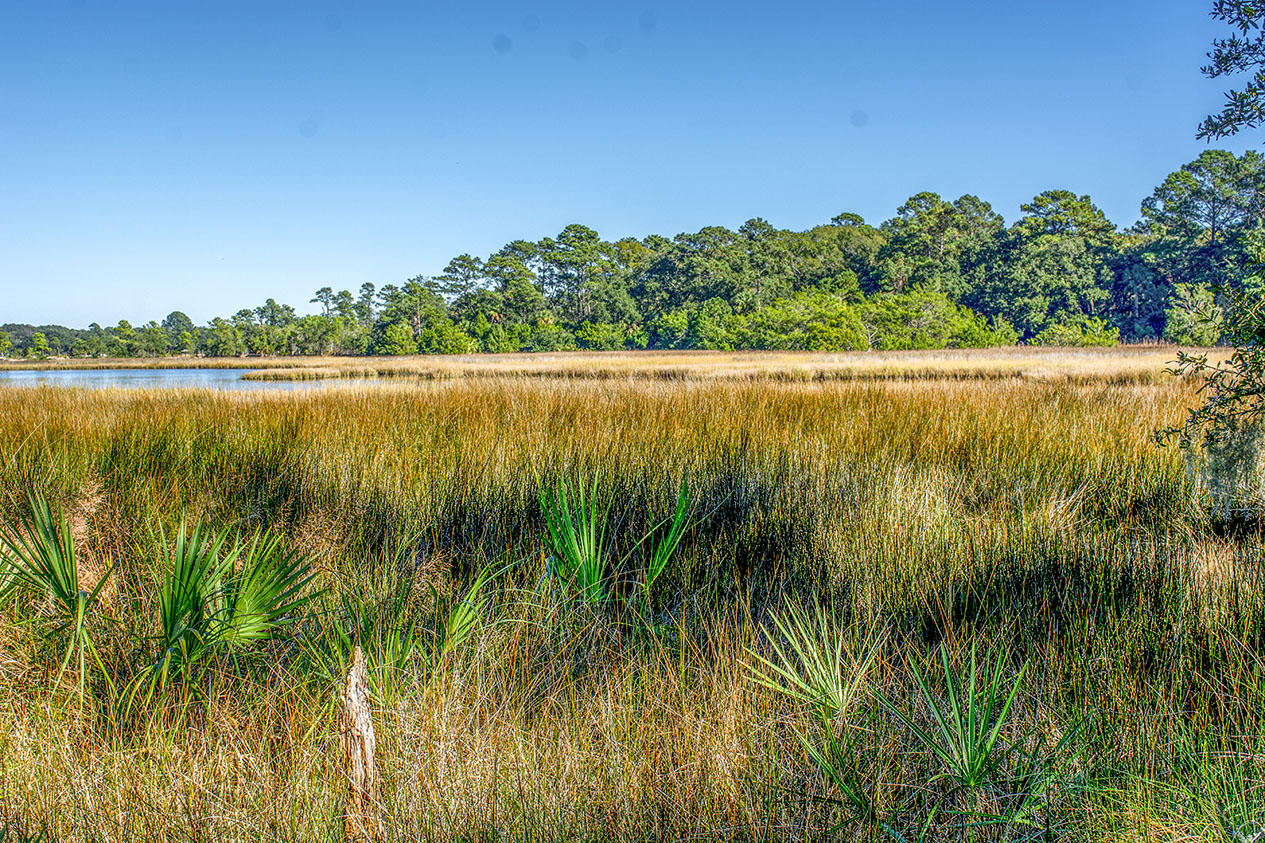 8962 Palmetto Road Edisto Island, SC 29438 - Photo 3 of 4 _DSC1283
