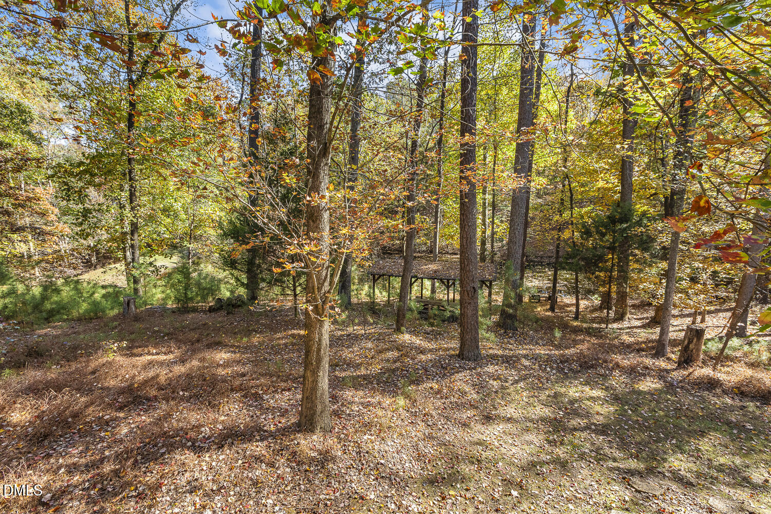 3028 Ethan Lane Raleigh, NC 27613 - Photo 40 of 58 a backyard of a house with lots of trees