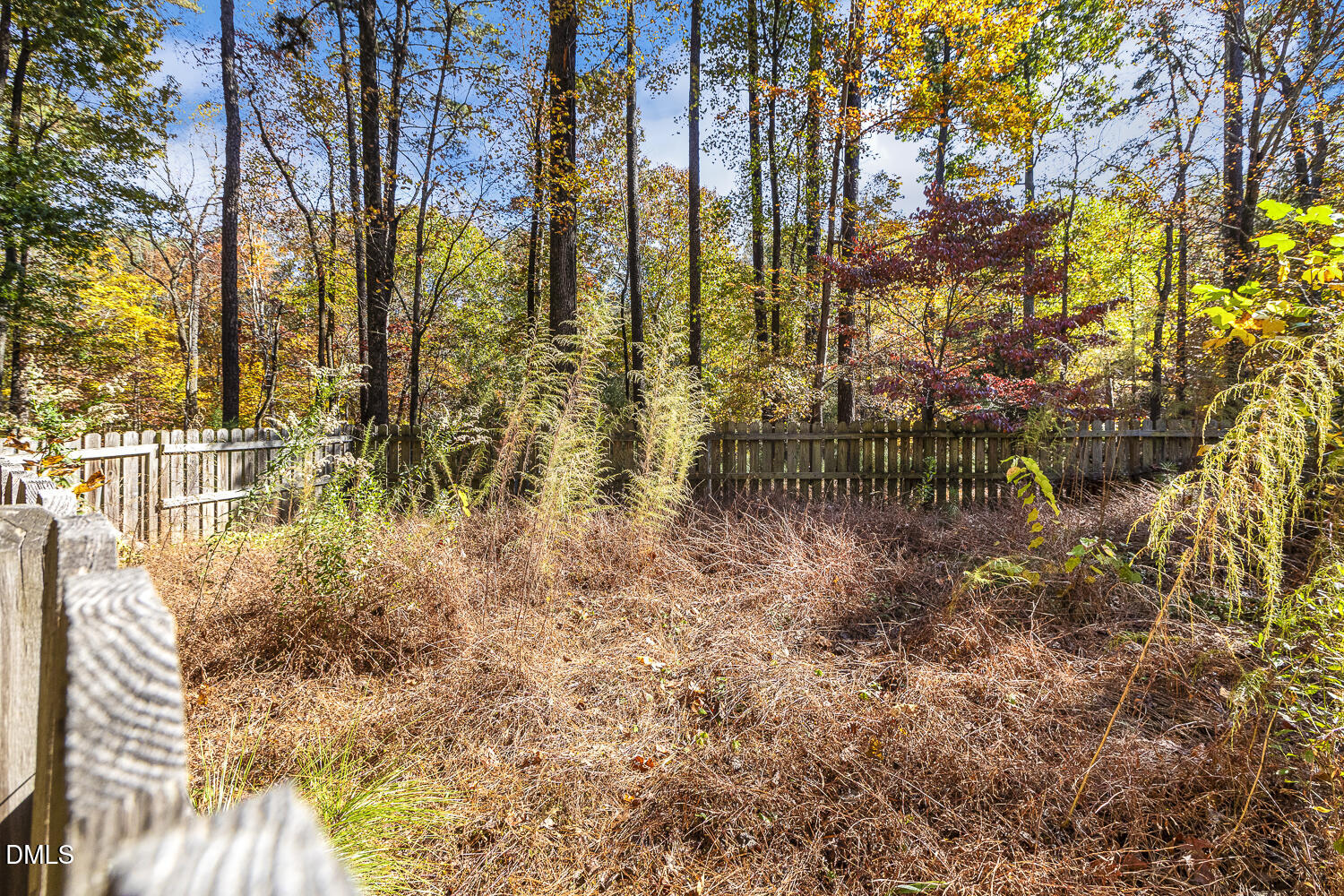 3028 Ethan Lane Raleigh, NC 27613 - Photo 42 of 58 a view of outdoor space with garden