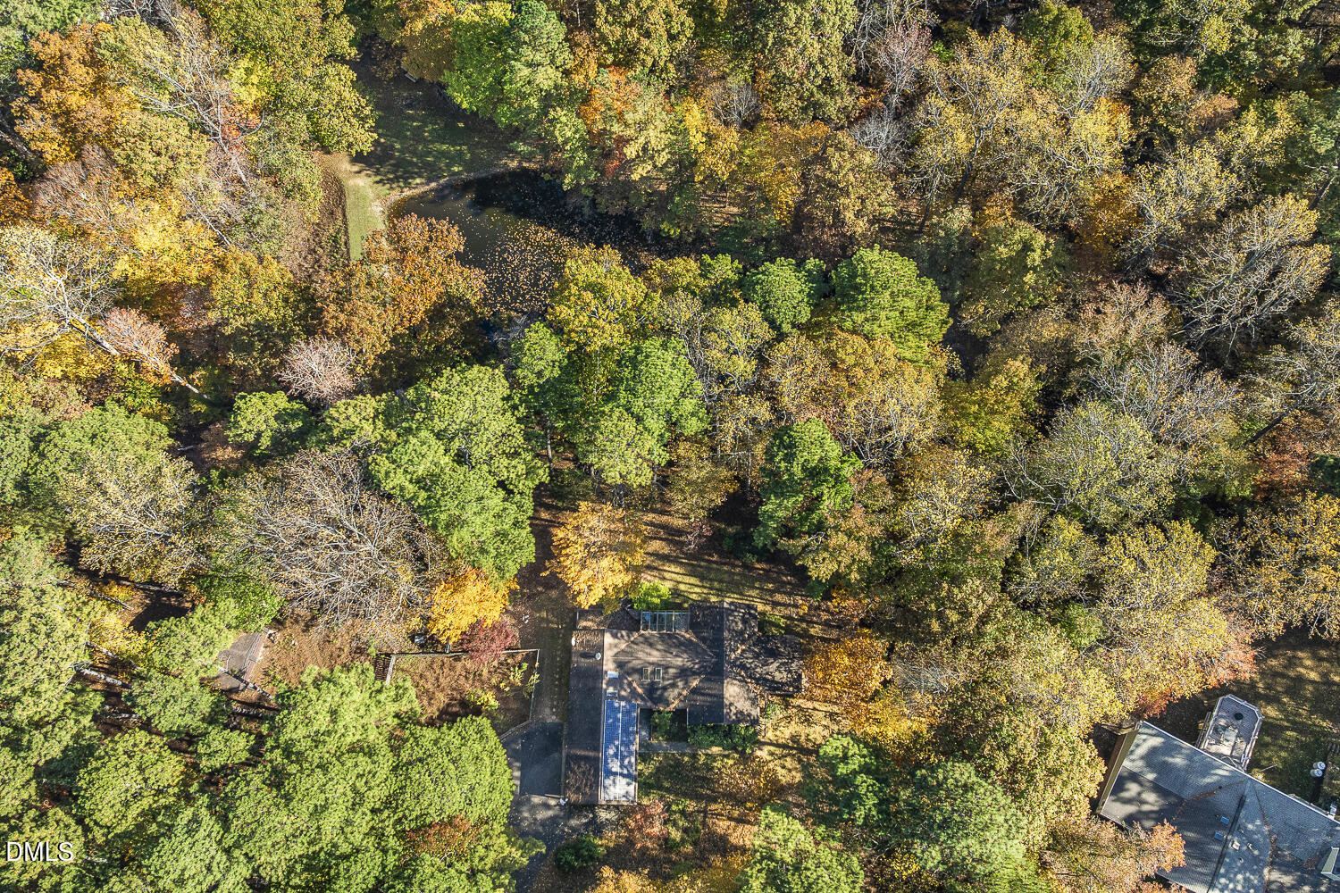 3028 Ethan Lane Raleigh, NC 27613 - Photo 54 of 58 a view of a tree in a yard