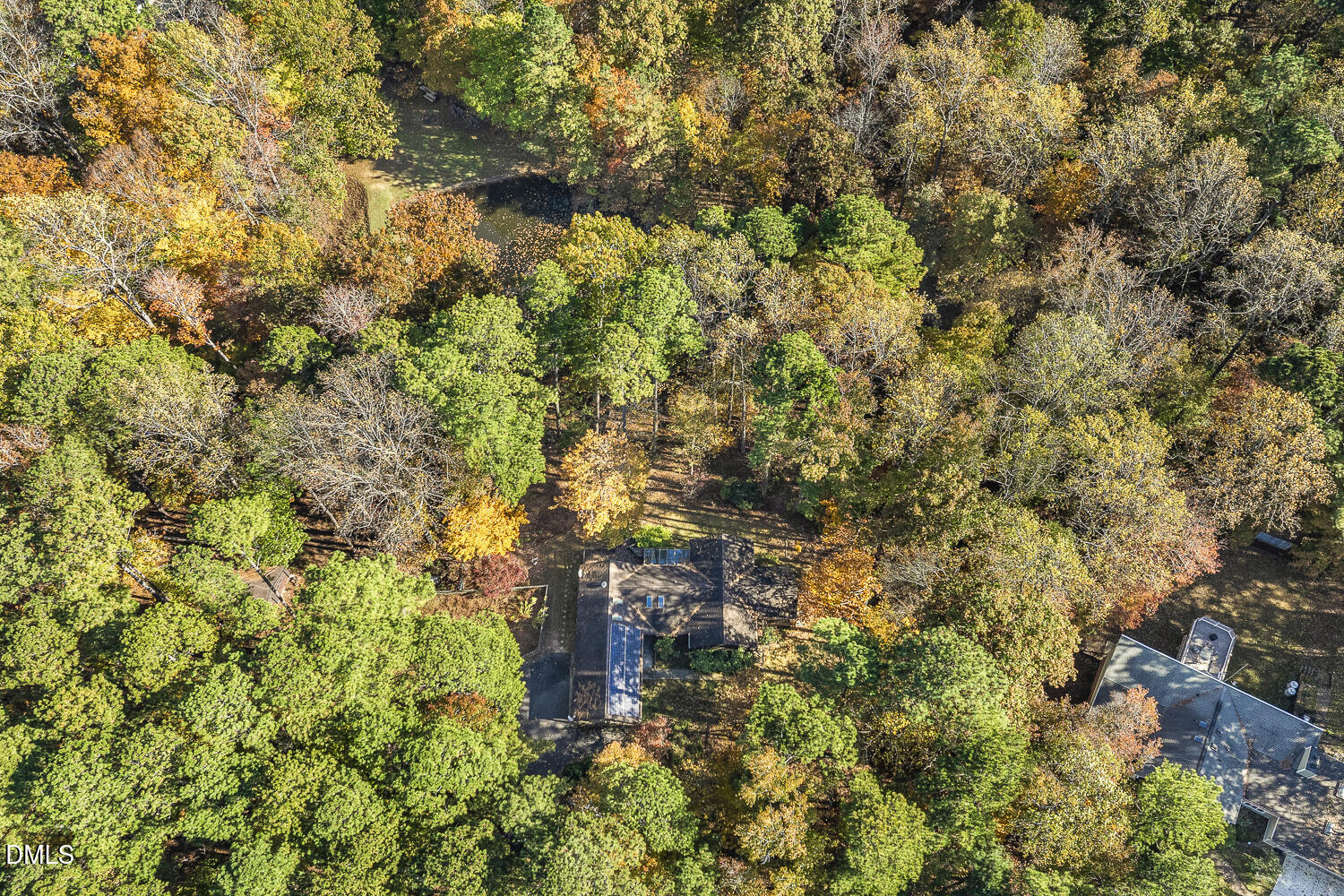 3028 Ethan Lane Raleigh, NC 27613 - Photo 55 of 58 a view of a plants and large trees