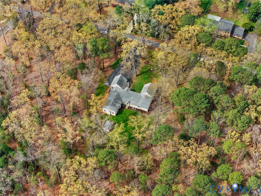 10488 Old Telegraph Road Ashland, VA 23005 - Photo 67 of 69 a view of a yard with a tree