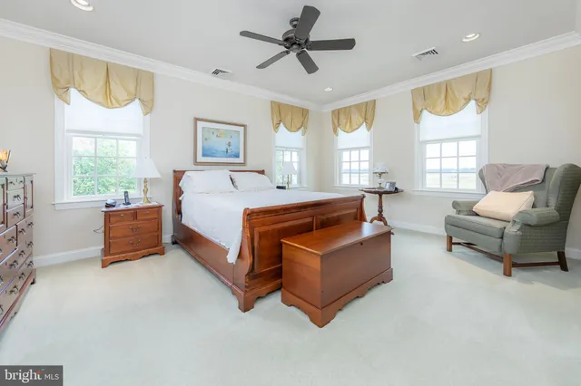 a view of a big yard with a large trees