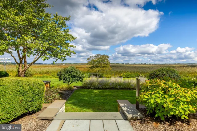 a view of building with yard