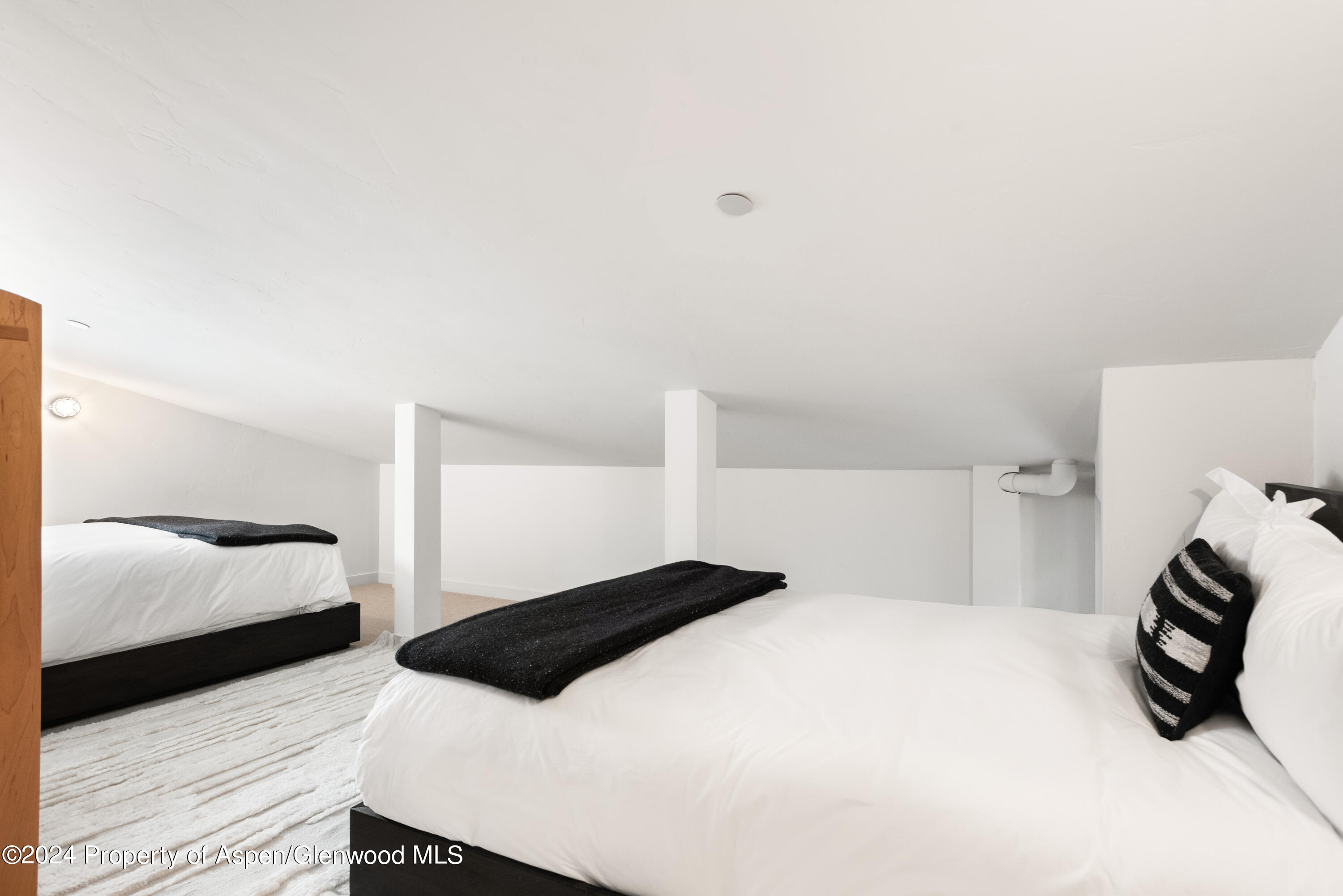 720 Nell Erickson Road Aspen, CO 81612 - Photo 24 of 36 09-700NellErickson_240125008