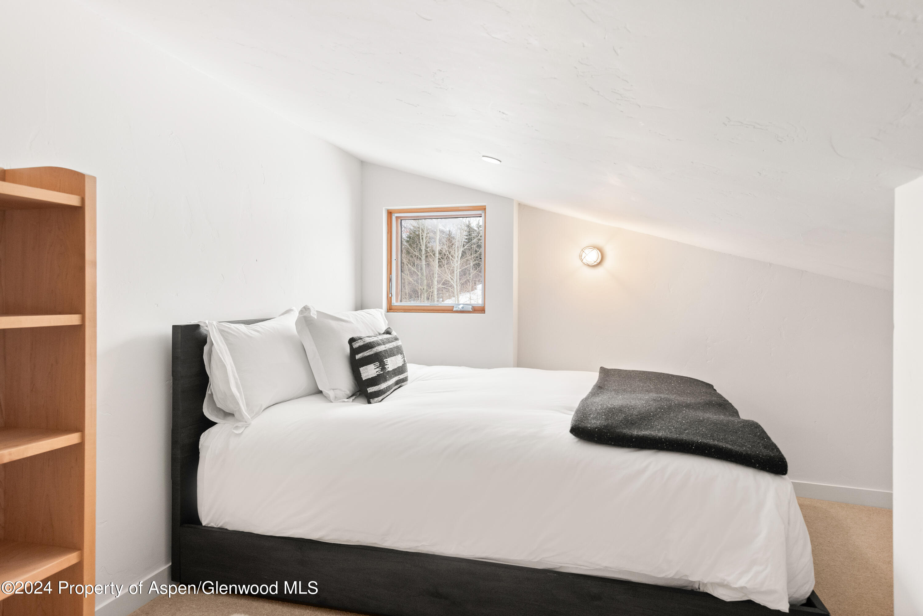 720 Nell Erickson Road Aspen, CO 81612 - Photo 25 of 36 10-700NellErickson_240125009