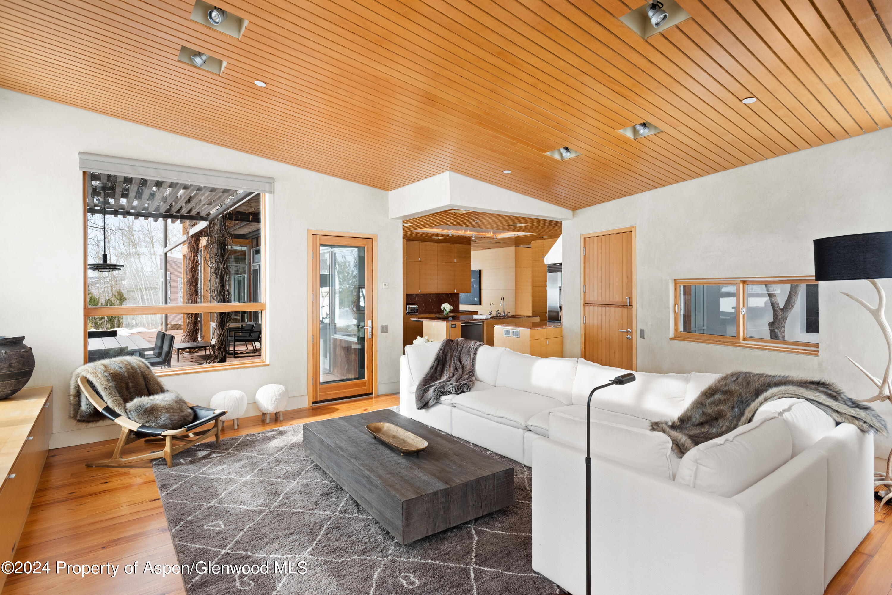 720 Nell Erickson Road Aspen, CO 81612 - Photo 9 of 36 03-700NellErickson_240125002