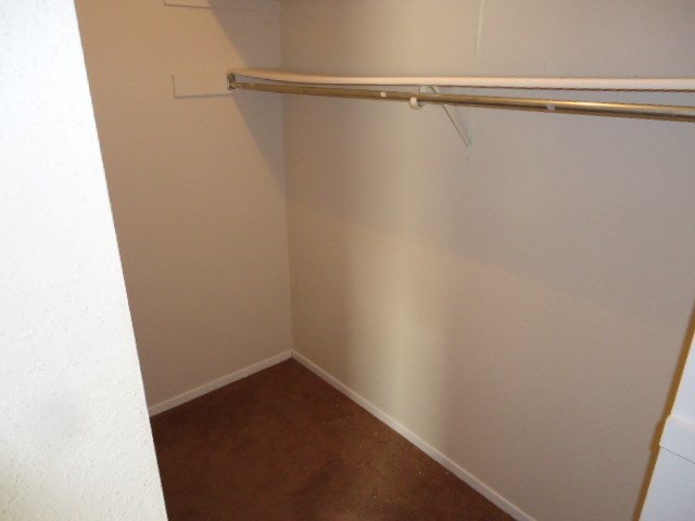 2213 Singletree Avenue, Unit B Austin, TX 78727 - Photo 19 of 23