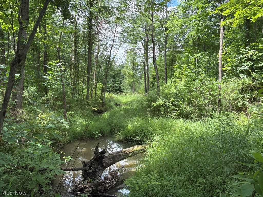 Crosby Cook Road Rome, OH 44085 - Photo 5 of 48 Wooded landscape featuring a winding creek, mature trees, dense foliage, and natural ground cover
