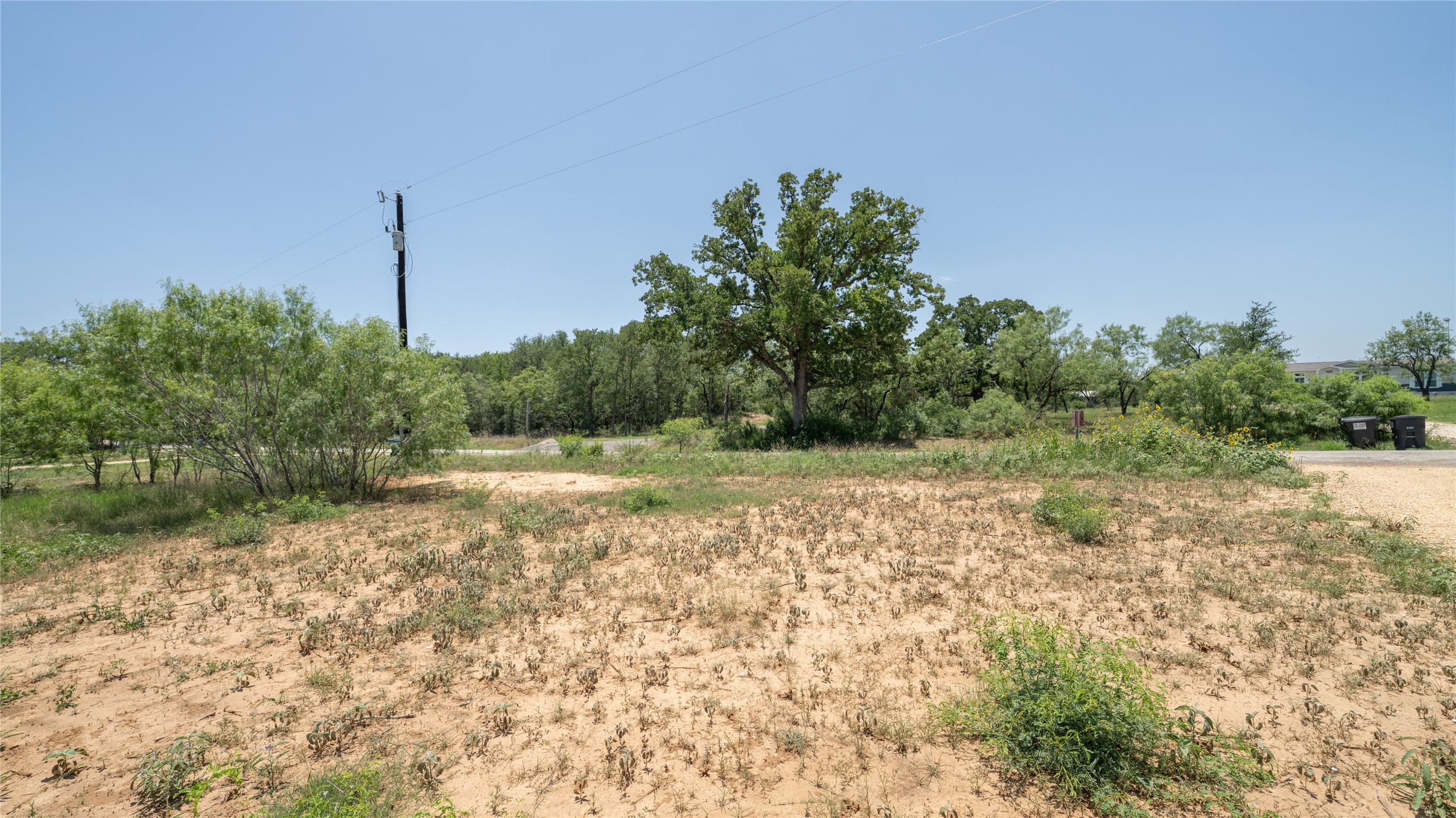 1145 Callihan Road Luling, TX 78648 - Photo 11 of 39 a view of a yard with a tree