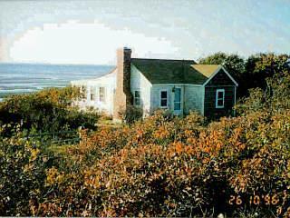 Primary Photo